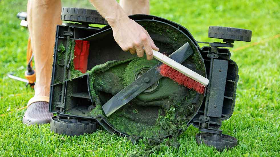 November gardening jobs cleaning lawn mower